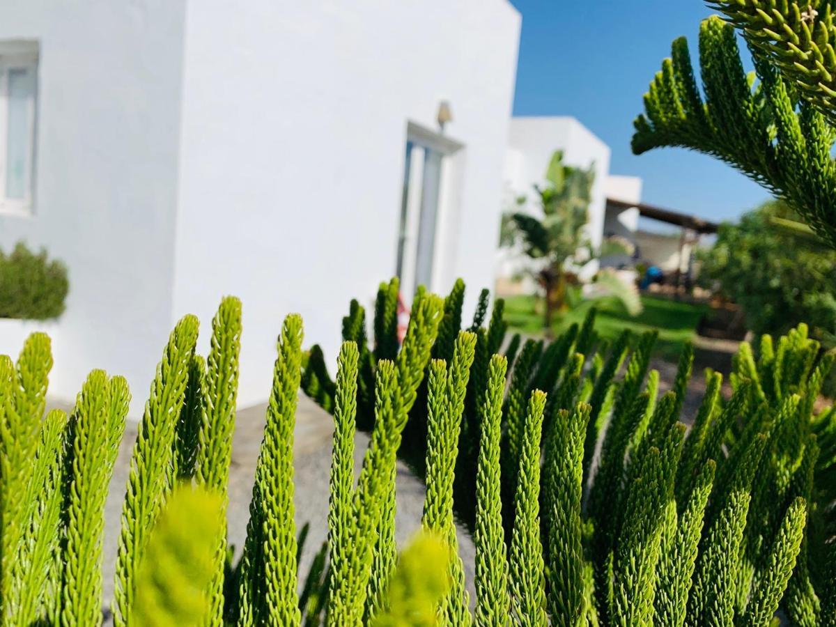 Apartamento Joy Lajares Exterior foto