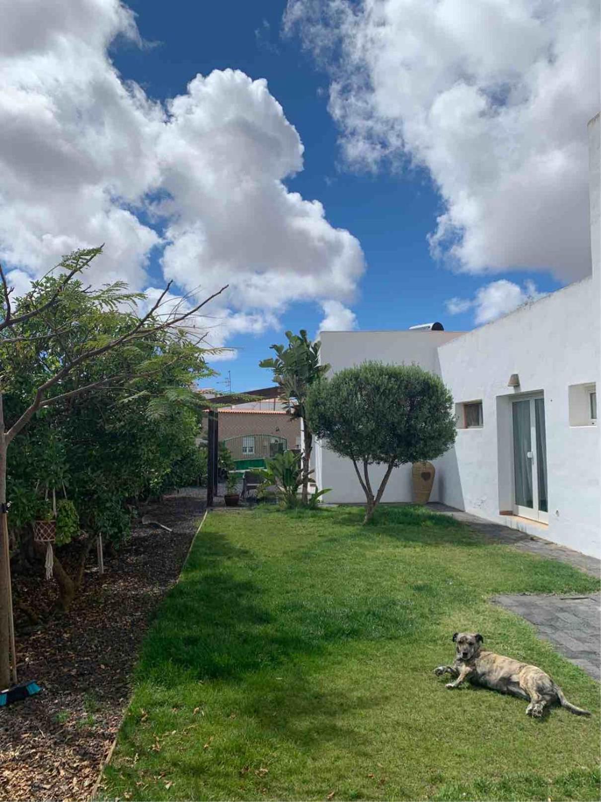 Apartamento Joy Lajares Exterior foto